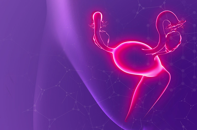 Женская половая система и физиология женского организма в разные возрастные периоды. Репродуктология с точки зрения anti-age медицины. Возрастные изменения женской эндокринной системы и коррекция менопаузальных нарушений.