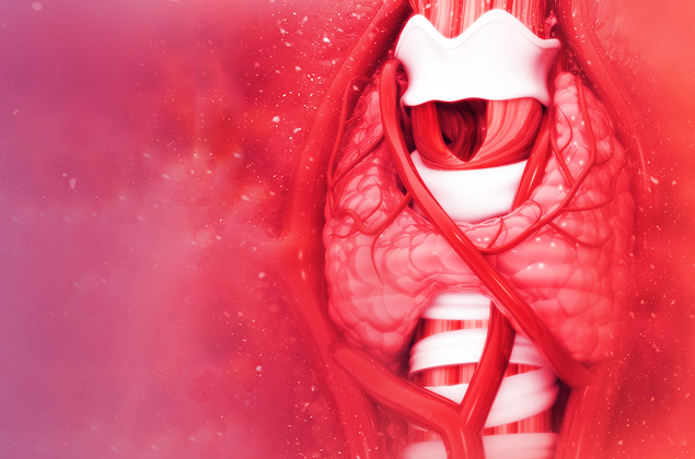 Интегративная физиология и патология щитовидной железы, метаболомика тиреоидных гормонов. Геномное и негеномное действие тиреоидных гормонов. Центральные и периферические механизмы действия тиреоидных гормонов. Канцерогенез и дисфункция щитовидной железы.