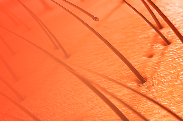 Возрастные изменения кожи, волос, ногтей и слизистых. Новый взгляд на физиологию и патологию. Фармакотерапия в Anti-Age. Персонализированная медицина и персонализированные рецепты.