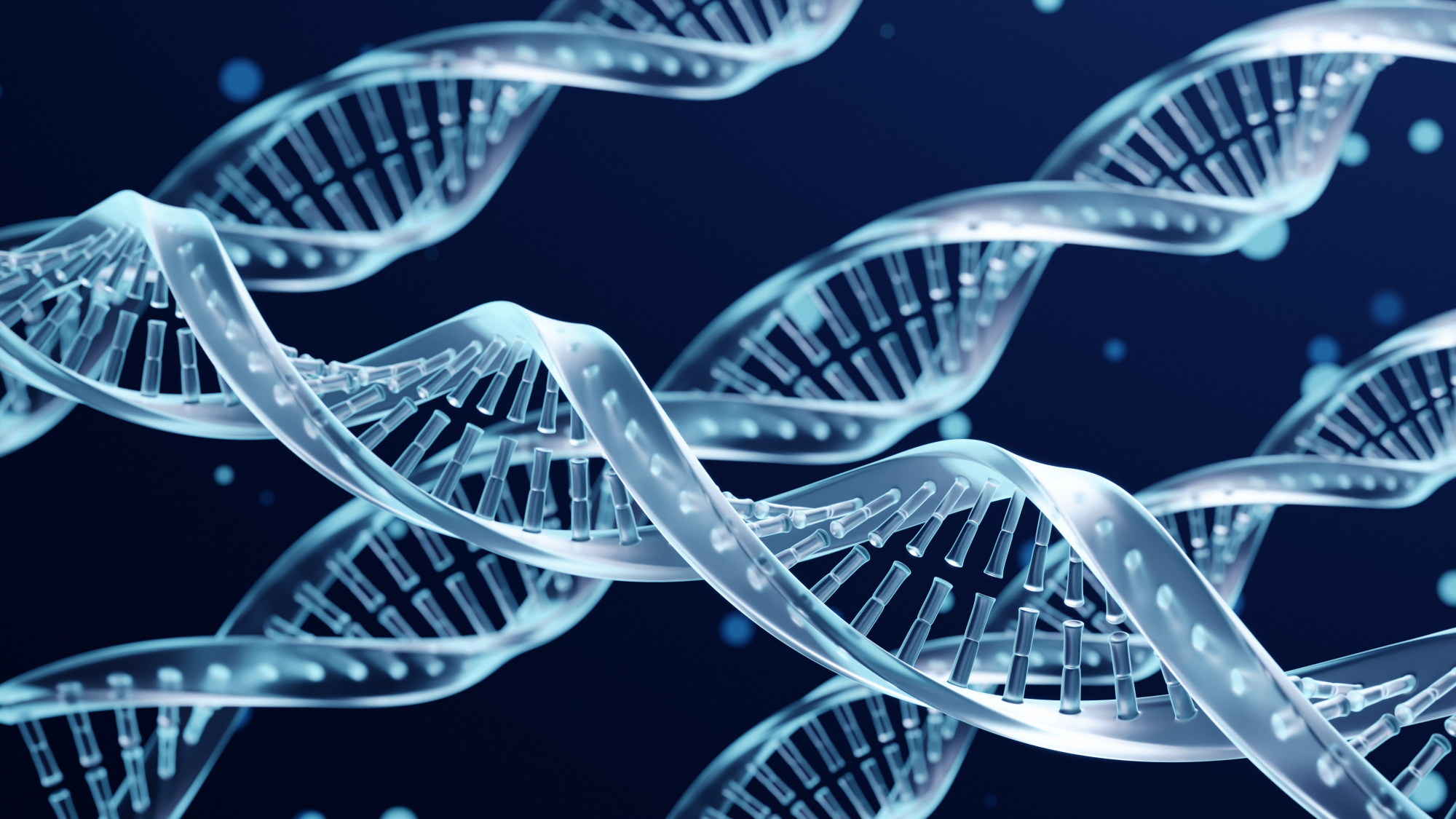 Экзосомы и физиологические процессы