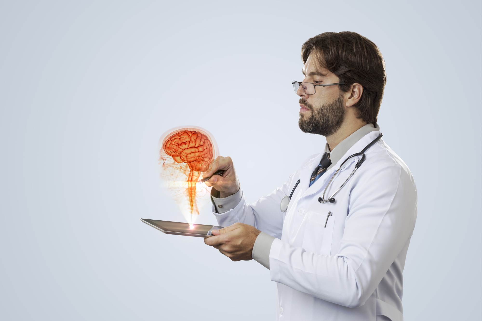 Анатомия гипофиза